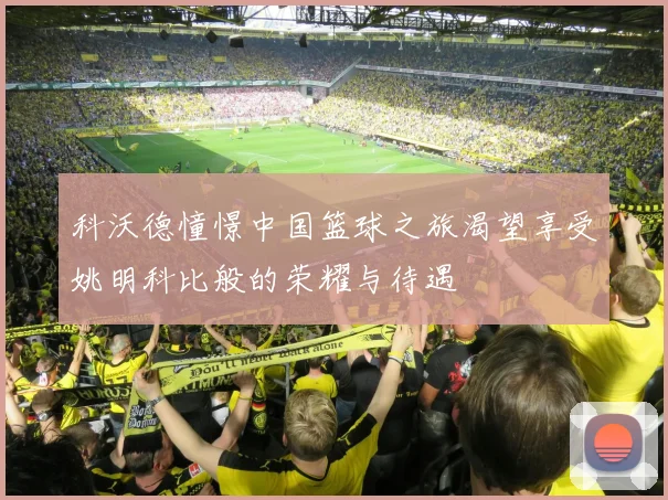 科沃德憧憬中国篮球之旅渴望享受姚明科比般的荣耀与待遇
