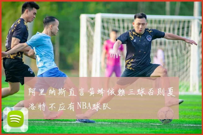 阿里纳斯直言黄蜂依赖三球否则夏洛特不应有NBA球队