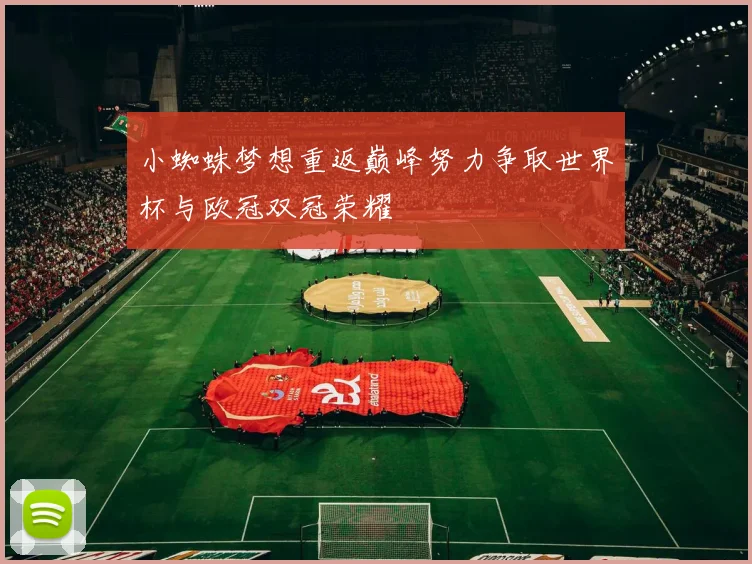 小蜘蛛梦想重返巅峰努力争取世界杯与欧冠双冠荣耀