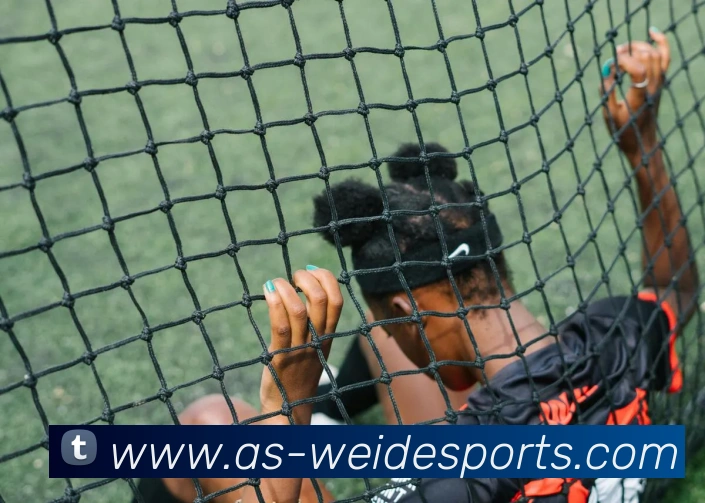 多媒体互动体验