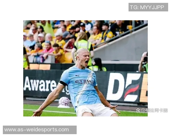 英超分析曼城客场战胜桑德兰利物浦延续连胜热刺遭遇失利